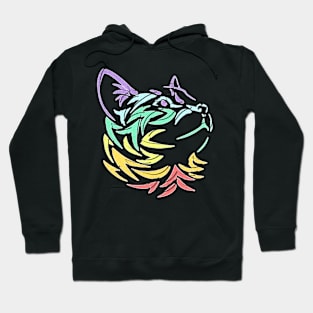 rainbow cat Hoodie